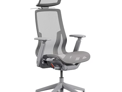 Gray Mesh Ergonomic Single Office Chair with Adjustable Headrest and Armrests 3d model