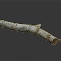 Natural Wood and Stone Log with White Red Spots and Detailed Textured Surface