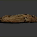 Soft and Chewy Chocolate Chip Cookie Loaded with Chocolate Chunks and Golden Brown Surface