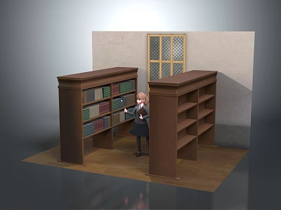 Cozy Study Room Interior With Brown Bookshelves Books And Lattice Window Girl 3d model