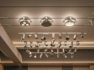 Modern Ceiling Track Mounted Downlights And Spotlights For Interior Lighting Design 3d model
