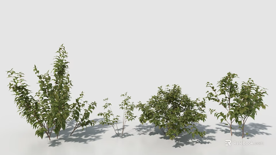Various Green Leafy Shrubs With Different Sizes And Natural Foliage Features 3d model