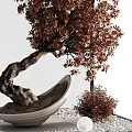 Bonsai Tree with Twisted Trunk Brown Foliage in White Bowl and Shrub with White Pebbles
