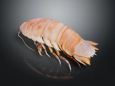 Light Brown Isopod Featuring Segmented Body Long Antennae And Multiple Legs On Dark Background 3d model