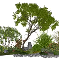 Natural Plant Combination With Trees Shrubs Herbs Green Foliage And Pebble Path