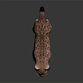 Realistic Wild Lynx with Spotted Fur Standing on Dark Background Showing Reflection 3d model