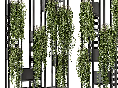 Modern Potted Plants Vertical Garden Design With Black Metal Frame And Green Drooping Vines 3d model