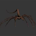 Fantasy Spider Like Creature With Long Legs And Curled Tail 3d model
