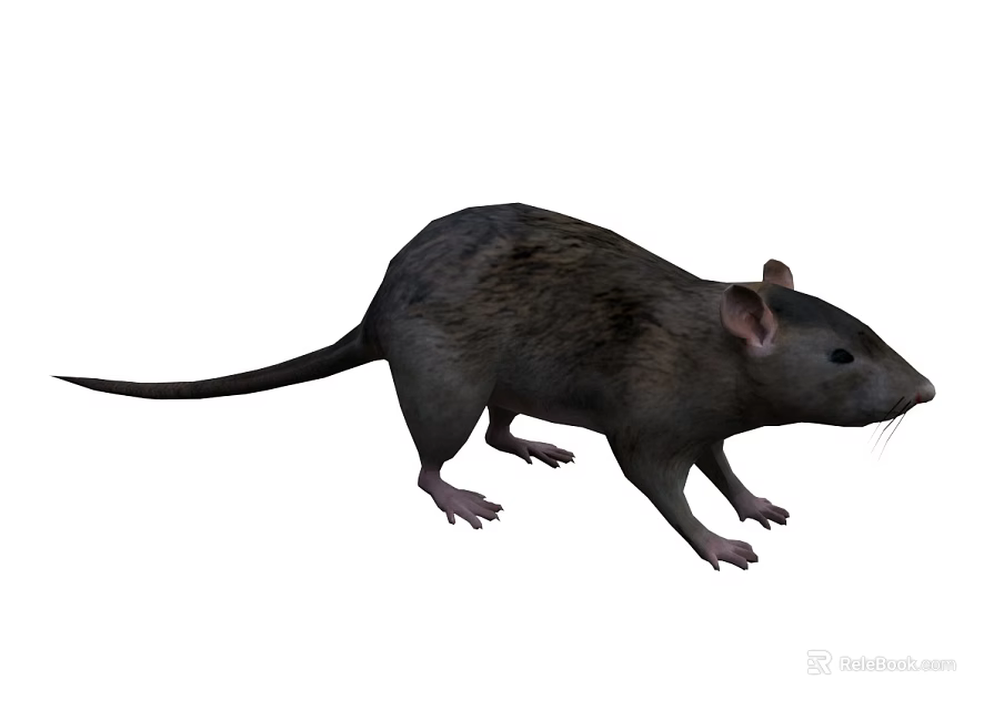 Realistic Gray Rat With Long Tail And Brown Spots On Fur 3d model 