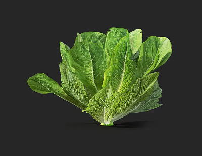 Modern Vegetables 3d model Modern Vegetables 3d model