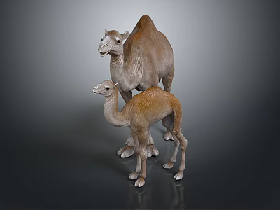 Adult And Baby Camel Standing Together With Light Brown Fur On Gray Surface 3d model