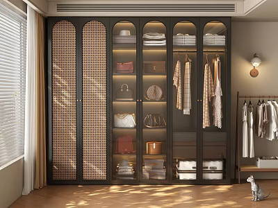 Modern Wardrobe Design With Multiple Compartments Hanging Clothes Storage Boxes Natural Light And Wooden Floor 3d model