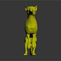 Tasmanian Tiger 3D Model in Standing Pose with Detailed Features and Gray Gradient Background