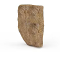 Ancient Garden Landscape Design With Fossil Rock And Plant Imprint Details
