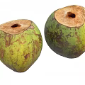 Coconut Shell Coconut 3d model