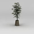 Innovative Tech Exhibition Hall With Bamboo Plant In Wooden Pot
