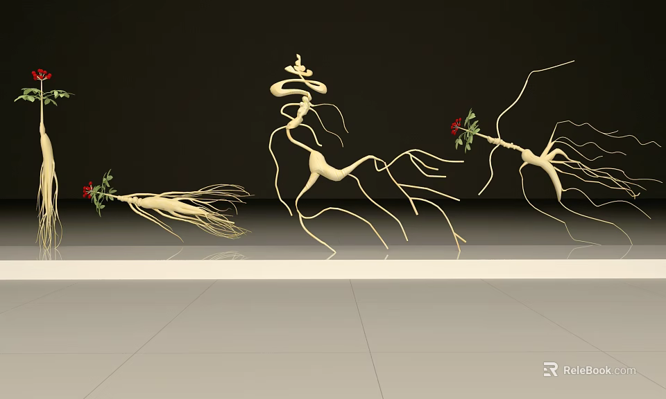 Fresh Organic Ginseng Roots With Red Flowers Displayed On White Platform 3d model 