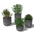 Multiple Bonsai Potted Plants In Gray Cylindrical Pots With Different Sizes And Green Foliage