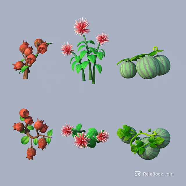 Pomegranate Branches Pink Flowers And Green Watermelons Plant Illustrations Collection 3d model 