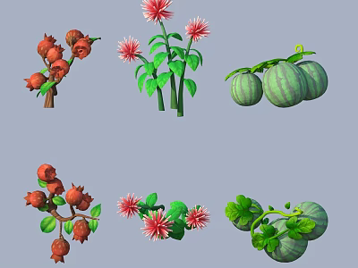 Pomegranate Branches Pink Flowers And Green Watermelons Plant Illustrations Collection 3d model