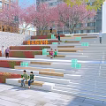 Stone Wood Terrace Steps With Seating Green Plants In Commercial Complex Public Space