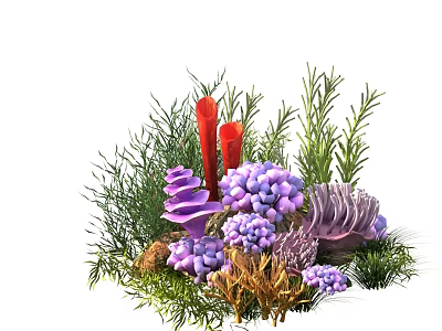 seafloor plants coral aquatic plants 3d model