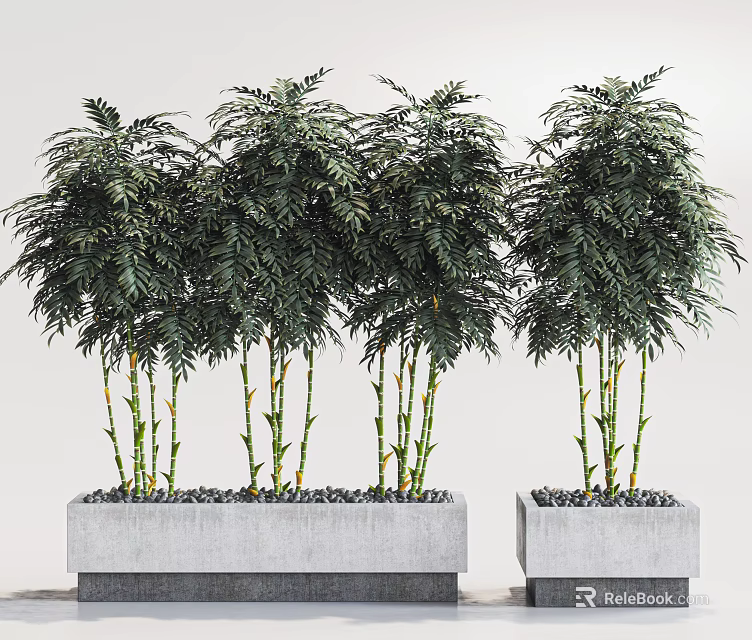 Bonsai Plants Featuring Green Leaves Yellow Green Stems in Gray Square Concrete Pots with Pebbles 3d model 