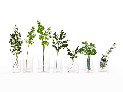 Green Plants In Transparent Glass Vases Decorative Arrangement For Home Decor 3d model