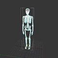 Detailed Game Movie Skeleton Character With Realistic Bone Structure And Pose