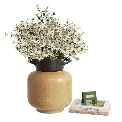 Terracotta Vase with White Daisies and Black Base Next to Green Photo Frame and Magazine 3d model
