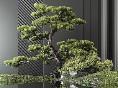 Zen Style Garden Ornament With Pine Tree Stones Green Moss And Water Reflection 3d model
