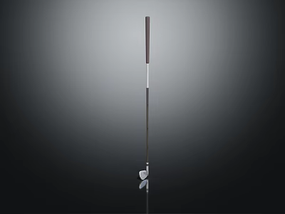 High Quality Modern Golf Club With Sleek Steel Shaft And Reflective Metal Head Design 3d model