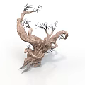 Unique Dry Tree With Twisted Trunk And Leafless Branches Natural Texture