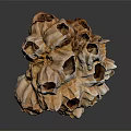 Orange and White Aquatic Sponge with Porous Structure and Multiple Holes