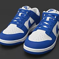 Blue and White Low Top Sneakers With White Laces And Logo On Upper