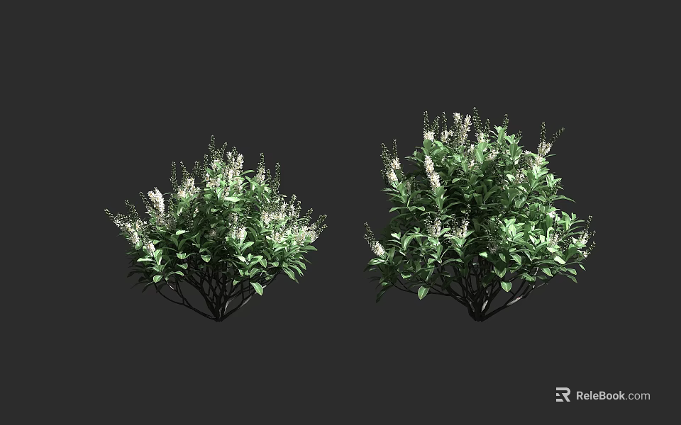 Green Leafy Shrubs With White Flowers For Garden Landscaping And Decoration 3d model 
