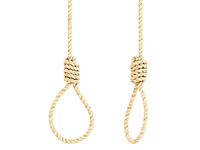 Two Natural Knotted Rope Loops Hanging With Decorative Knot Design 3d model