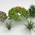 Colorful Flowering And Green Leaf Plants With Pink Yellow Blooms And Arch Shapes