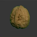 Single Natural Brown Whole Walnut With Textured Shell On Dark Reflective Background 3d model