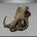 Detailed Ancient Weathered Animal Skull With Curved Horns Skeletal Features And Natural Texture