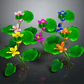 Vibrant Aquatic Plants With Colorful Flowers Green Leaves And Roots