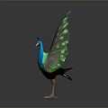 Majestic Peacock Displaying Vibrant Green And Blue Fanned Tail Feathers With Eye Spots