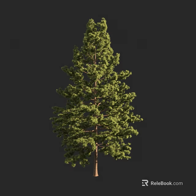 Tall Arbor With Lush Green Foliage And Strong Brown Trunk In Natural Scene 3d model 