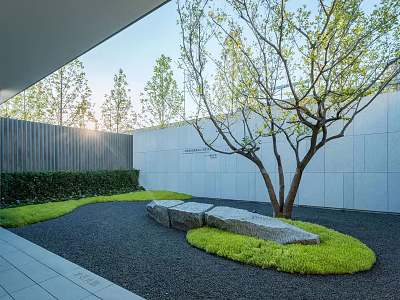 Tranquil Courtyard Garden Design With Tree Stones Green Moss And Gravel 3d model