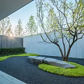 Tranquil Courtyard Garden Design With Tree Stones Green Moss And Gravel
