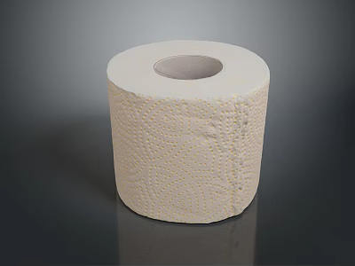 Soft Textured White Toilet Paper Roll For Daily Household Essentials 3d model