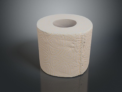 Sanitary Products Toilet Paper Roll Paper Handkerchief Paper Napkin Toilet Paper Raw Pulp Paper Recycled Paper Pure Wood Pulp Paper 3d model