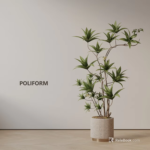 Lush Bonsai Potted Plant with Green Leaves in Woven Pot for Modern Indoor Decoration 3d model 