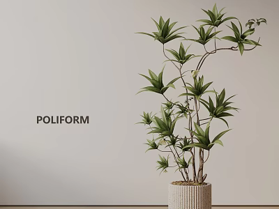 Lush Bonsai Potted Plant with Green Leaves in Woven Pot for Modern Indoor Decoration 3d model