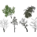 Various Arbor Trees Displaying Green Foliage Snow Covered Branches And Bare Trunks 3d model